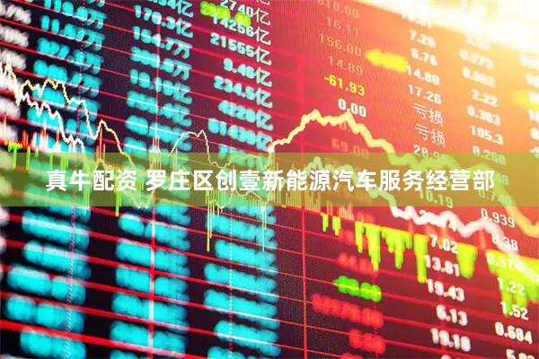 真牛配资 罗庄区创壹新能源汽车服务经营部