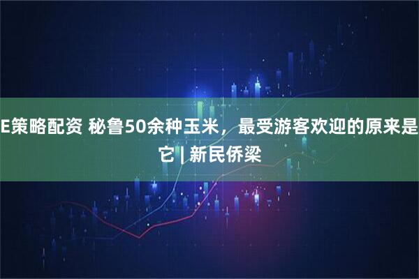 E策略配资 秘鲁50余种玉米，最受游客欢迎的原来是它 | 新民侨梁